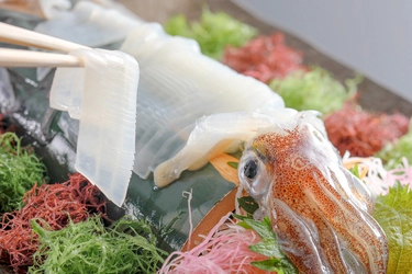 【6月限定】漁火眺める2つの大人宿で味わう、初夏の至宝『活け〆白イカ』。海の京都・夕日ヶ浦温泉「佳松苑 別邸ふうか」と「旅亭 櫂 -KAI-」にて限定プランを販売開始。