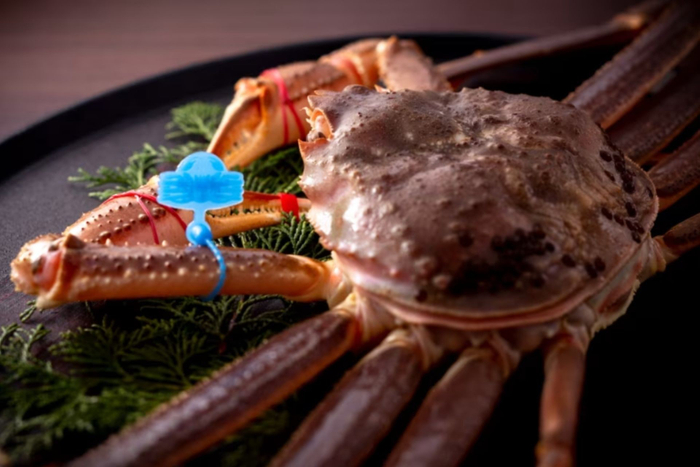 期間限定会席の活松葉蟹は700g前後の小さめサイズをお一人様一杯ご用意します