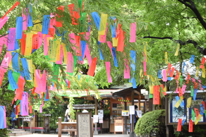 過去の七夕飾りの様子（小石川後楽園）