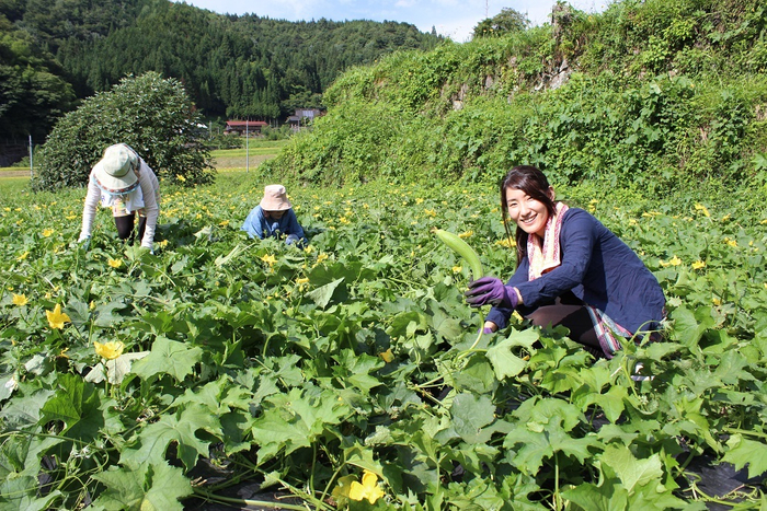 自然は癒やしとなり、心の健康も期待できる