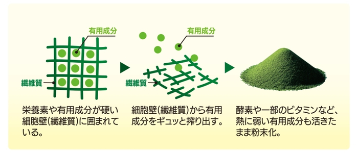 生搾り国産大麦若葉エキス