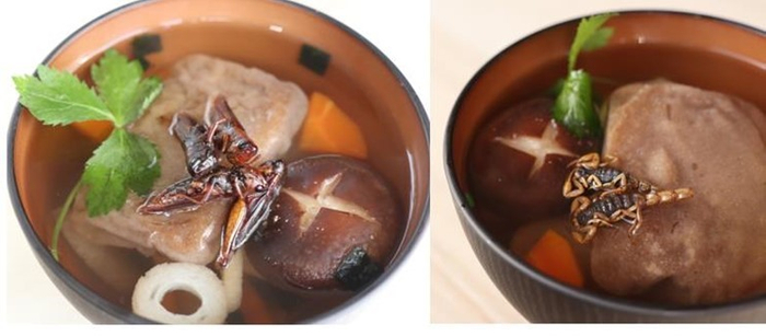 昆虫食&times;昆虫食アレンジで