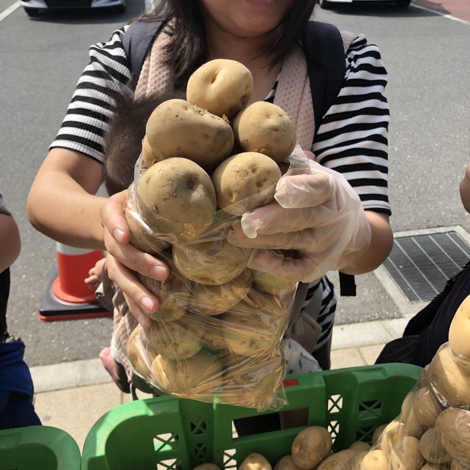 新じゃがいも詰め放題(5/5(火・祝)〜計4回)