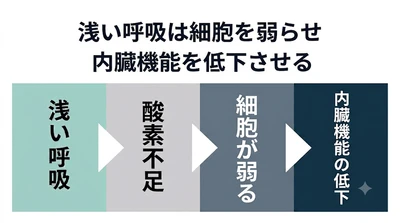 眠りの質が低下する本当の理由は「呼吸の弱まり」だった ― 酸素不足で回復力が止まる構造を公開 