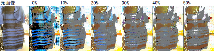図2　DNNモデルの機械学習［4］時にブルー・バイアス画像を混ぜて比率を変えたモデルに対し、#TheDress画像でテストした結果の例。左から、元画像（入力画像）と、ブルー・バイアス画像の比率が0%〜50%の場合の出力例。図の上のパーセントの値が増えると、青/黒から白/金へと変化している。実際は、同じ条件で10回繰り返してDNNモデルを作成し評価している。
