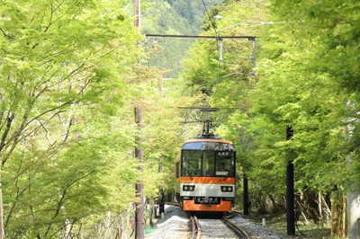 市原駅~二ノ瀬駅間「青もみじのトンネル」