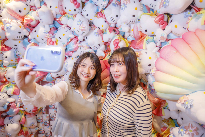 HELLO KITTY&copy; 2026 SANRIO CO., LTD. APPROVAL NO. L660041 