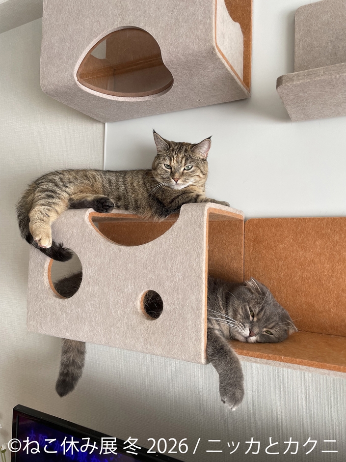 展示作品:ニッカとカクニ