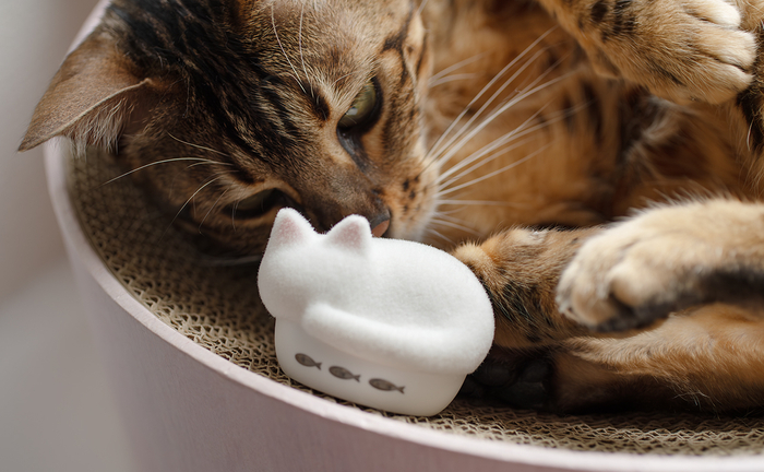 04_HP-C28BTF_猫とNEKO_1