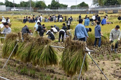 作業に精を出す参加者