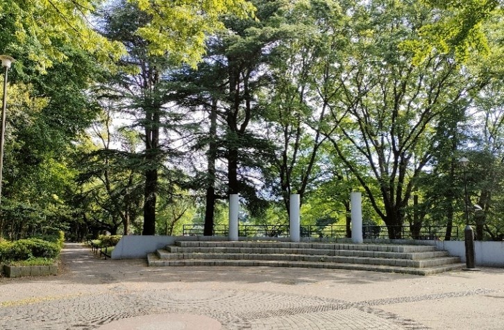 都立砧公園 出会いの広場(ステージ)