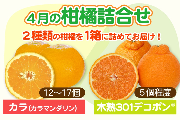 和歌山県産”4月の柑橘詰め合わせ”