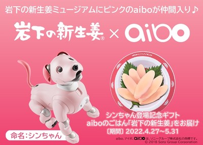 岩下の新生姜×aibo