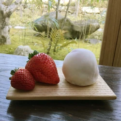 開始わずか30分で完売！外周約15cmの「丹波産大粒いちご大福」 　高島屋大阪店 限定・期間後半は4月6日～8日のみ販売