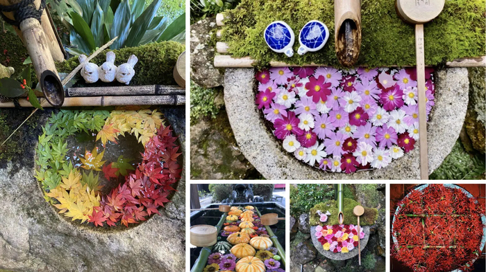 柳谷観音・楊谷寺（京都府長岡京市）の花手水いろいろ