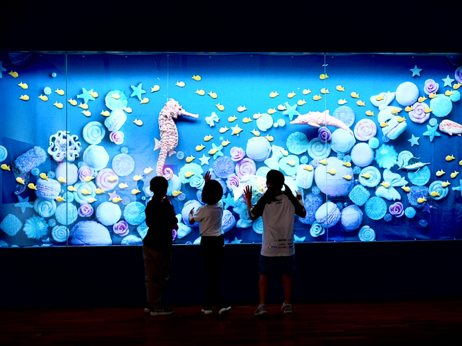 お菓子の水族館(ウッドワン美術館)