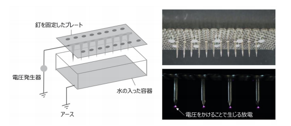 今回新たに開発した装置の構造(左)、釘を固定した部分の拡大画像(右)