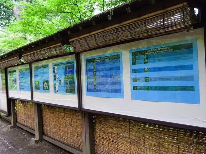 解説パネル展示