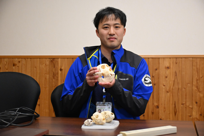 卒論で使用したシベリアイタチの頭の骨（机手前の骨格標本）は今でも大切に保管しているといいます