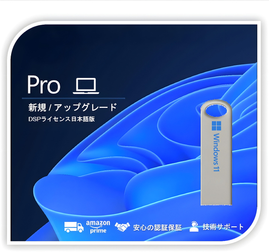 【Windows11 Pro】 DSPライセンス日本語版 (インストールUSB付)