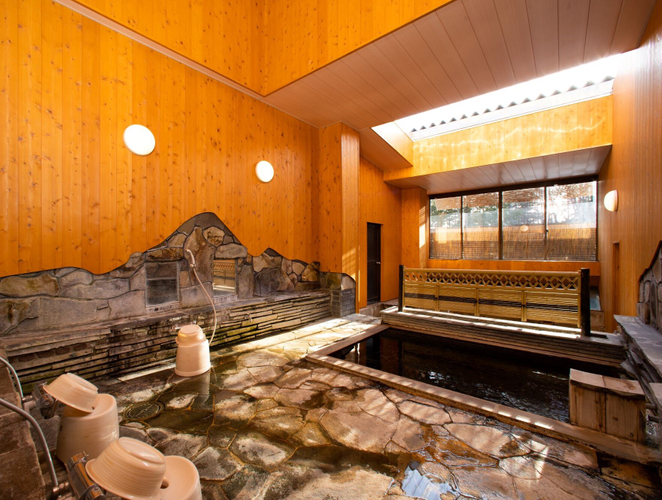 洞窟の隠れ湯 菱野温泉薬師館