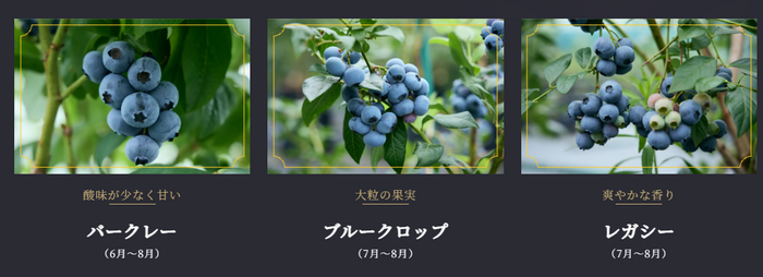 バークレー／ブルークロップ／レガシー