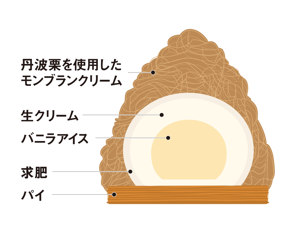 断面イメージ