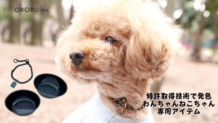 愛犬との生活に彩りを