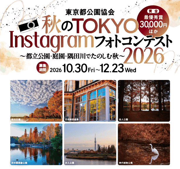 過去の入賞作品および、施設紹介写真