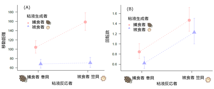 図2. 捕食者巻貝と被食者笠貝の粘液への捕食者巻貝と被食者笠貝の反応　（A）は総移動距離、（B）は回転数の結果を示す。