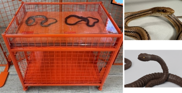 【展示台2】レプリカ展示台