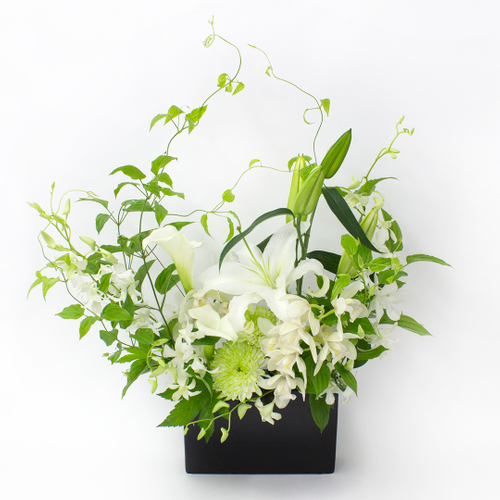 『和』なごみシリーズ　LL　￥22,000（税込）