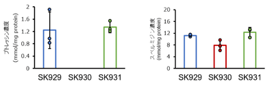 図3 各腸内細菌株を定着させたハエ全身のポリアミン濃度