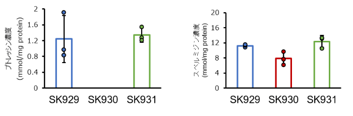 図3 各腸内細菌株を定着させたハエ全身のポリアミン濃度