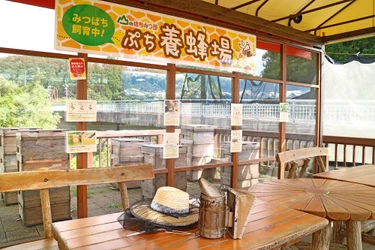 秋田のはちみつ専門店「山のはちみつ小屋」で養蜂を身近に　 より近くで観察でき学べる休憩スペース 『ぷち養蜂場』今年もOPEN！