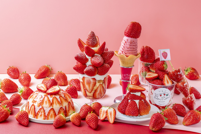 いちごの収穫祭2026　※写真はイメージです