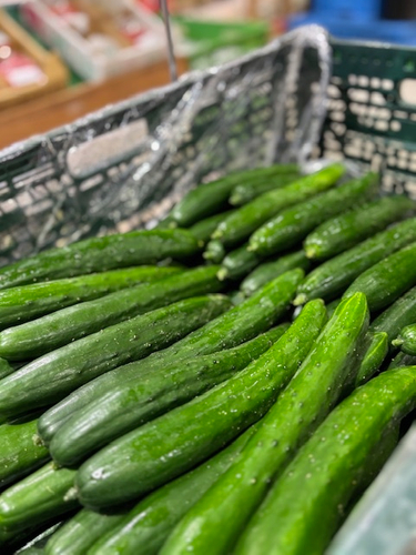 詰め放題・つかみ取り・すくい取り・刺し放題！等のイベントが盛りだくさん！