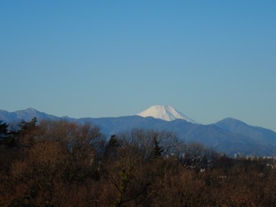 園内からの景色