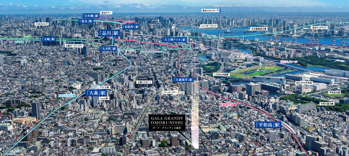 現地上空からの航空写真