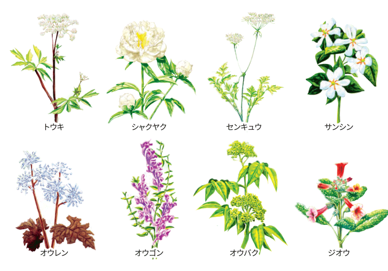 8種の混合植物エキス