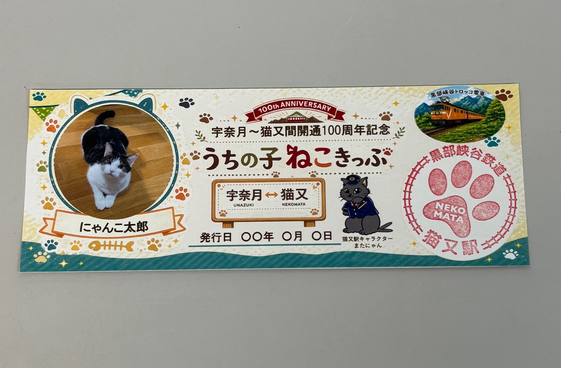 うちの子ねこきっぷ　イメージ