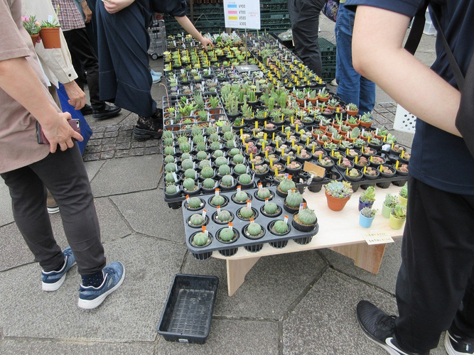 北区グリーンフェスタの様子（2025年）