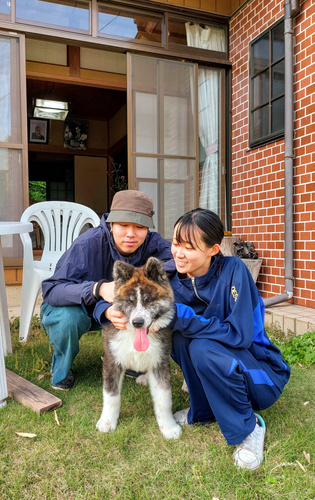 秋田犬とのふれあい
