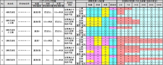 【アウトプットB:「BCMレベル診断レポート」イメージ】