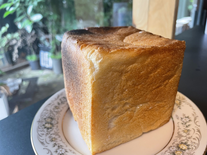 10cm角の野菜酵母食パン(本日はとうもろこしと杏)