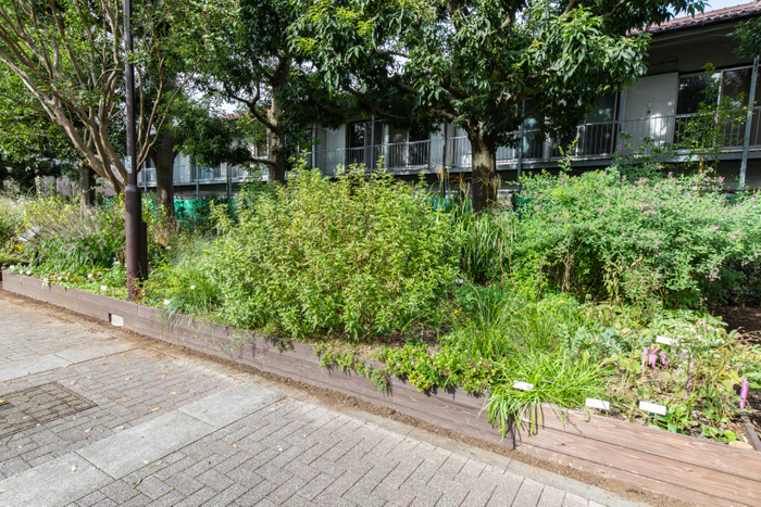 11月の日なた側の花壇の様子
