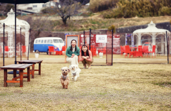 ▲愛犬といっしょにゲームに参加