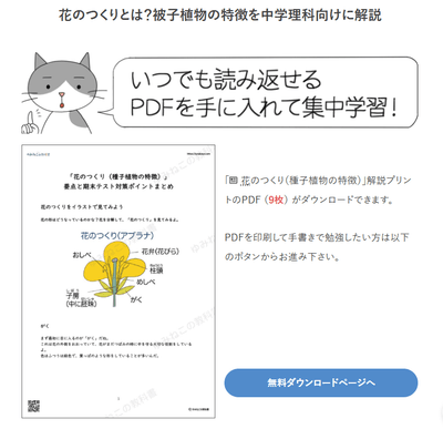 印刷して使えるPDF教材も無料で提供