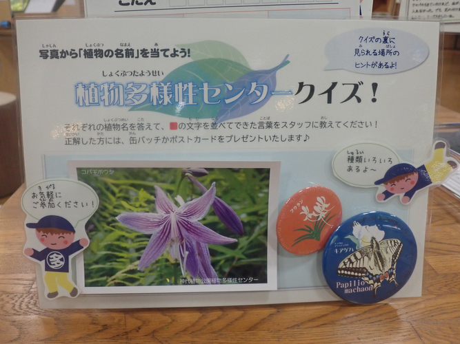 景品のポストカードと缶バッジ