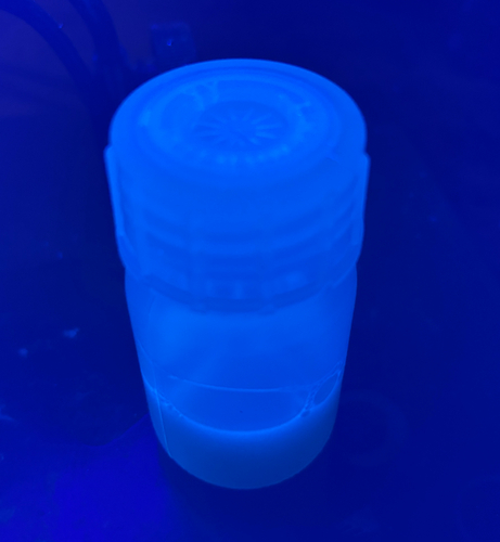 農薬としての効果を確認した有機バイオマス系廃棄物から合成した量子ドット(紫外線照射下)